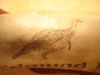 Horn turkey engraving